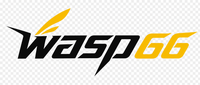 wasp66